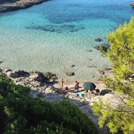 Sogno Blu *